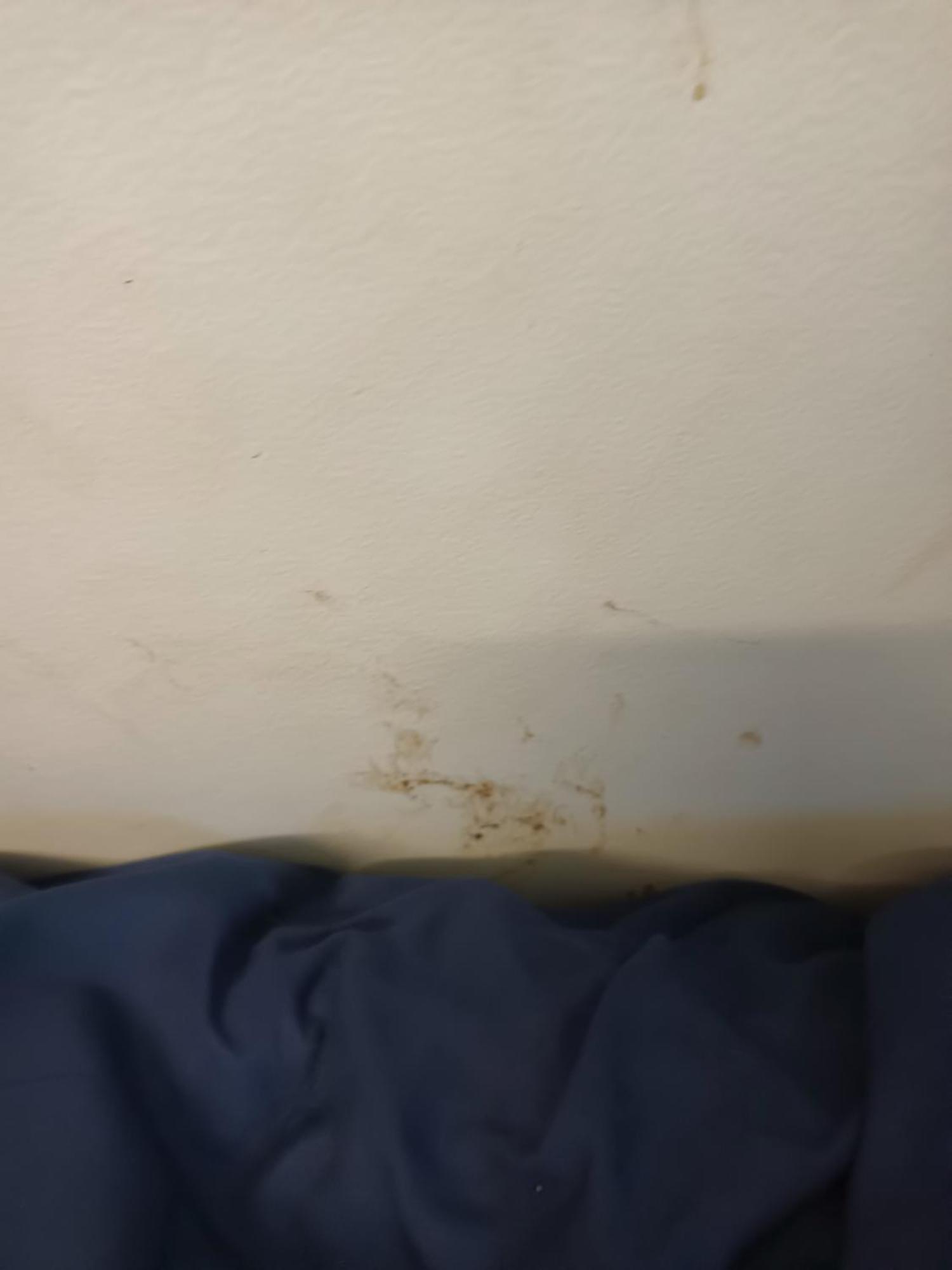 Single Room In Wollongong Near Uni Keiraville Kamer foto