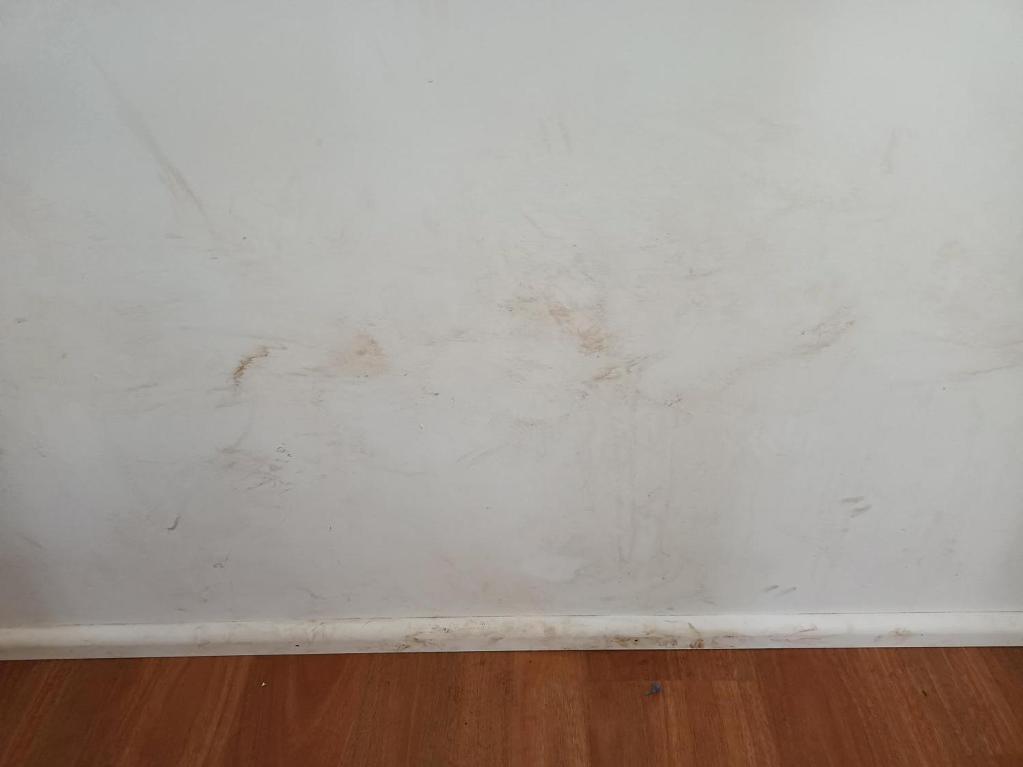 Single Room In Wollongong Near Uni Keiraville Kamer foto